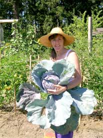 Janice with huge cabbage plant