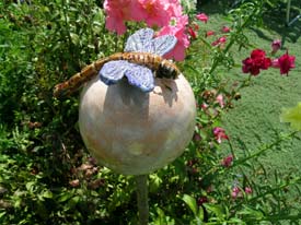 Dragonfly Garden Globe