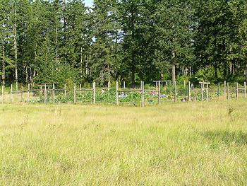 View of garden in the meadow