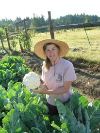 Perfect cauliflowers