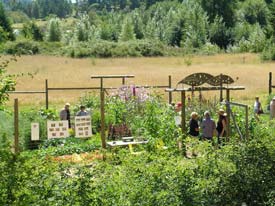 Overview of the garden and tour
