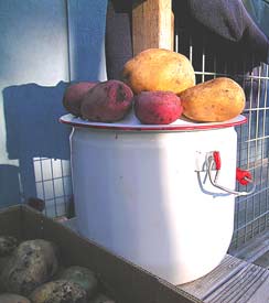 Potatoes