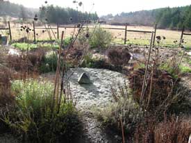 Center Room in Winter
