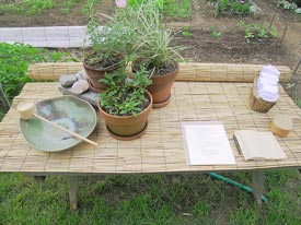 The cleansing bowl