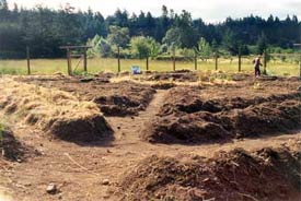 Another view of the first beds