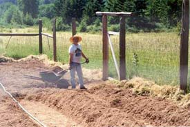 Anthony digging paths