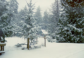 House in the 1990 snow storm